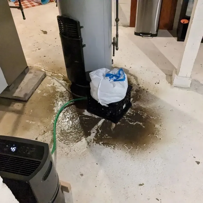 Sewage Backup Cleanup Service in Loup City, NE